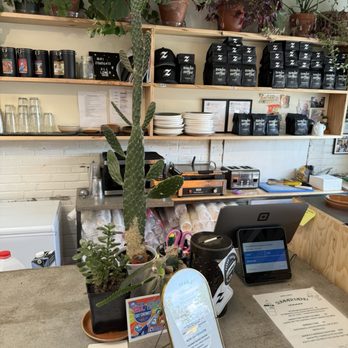 Zendo Coffee - Coffee & Tea Near Me - Albuquerque, New Mexico
