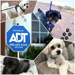 California Smart Home Pro - ADT Security