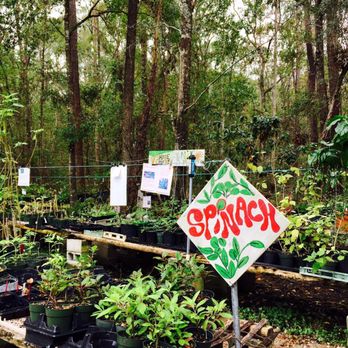 Eat Your Yard Jax - Attraction Farms Near Me - Jacksonville, Florida