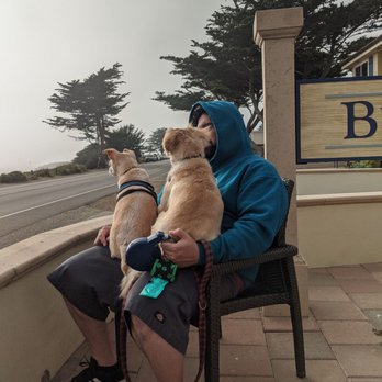 Blue Dolphin Inn - My husband and my babies hanging out on the patio, people watching... - Hotels Near Me - Cambria, California