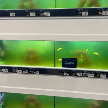 Petco - Pet Stores Near Me - Burke, Virginia