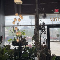 UPshining Houseplant Shop