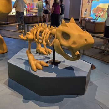 Field Museum - Museums Near Me - Chicago, Illinois Field Museum - Museums Near Me - Chicago, Illinois
