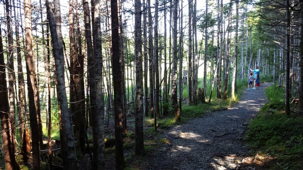 Fundy National Park Of Canada by null