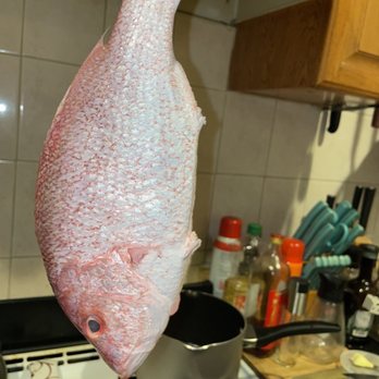 Demu Fish and Meats - a person holding a fish - Seafood Markets Near Me - Brooklyn, New York