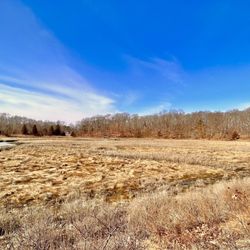 Great Esker Park
