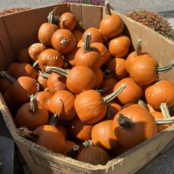 Vince & Joe's Gourmet Market