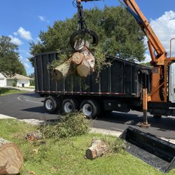 Limb-It-Less Tree Service - Tree removal