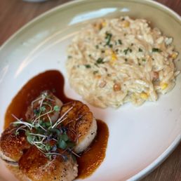 Scallops Scallops
