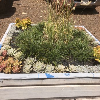 I.T. Ground Movement - Another large arrangement - Nurseries & Gardening Near Me - Mililani, Hawaii I.T. Ground Movement - Another large arrangement - Nurseries & Gardening Near Me - Mililani, Hawaii
