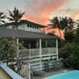 Photo of Bird of Paradise Home