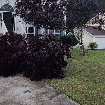 Quint's Tree Service - Tree Services Near Me