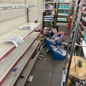 Dollar General - No stuffed pumpkin here - Grocery Near Me - Arizona City, Arizona Dollar General - No stuffed pumpkin here - Grocery Near Me - Arizona City, Arizona