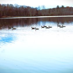 Otter Lake Camp-Resort - Beautiful