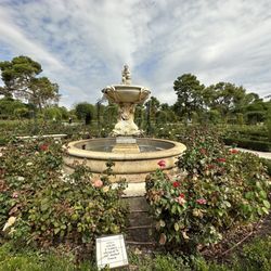 La Rosaleda