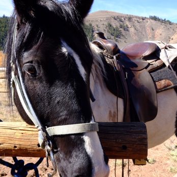 Fantasy Ranch - Tours Near Me - Crested Butte, Colorado