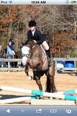 Rolling Hills Farm Equestrian Center - equestrian in Friendsville, TN