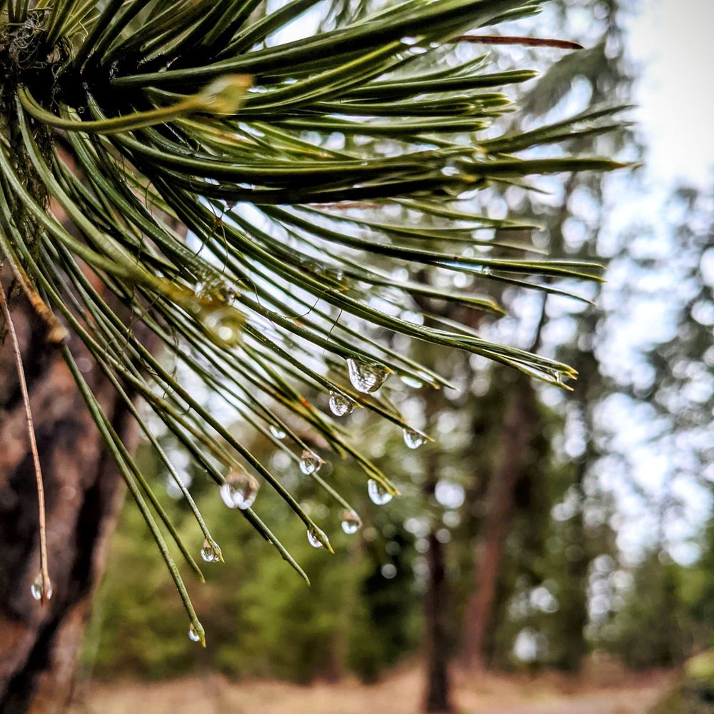 Social spots from Tubbs Hill