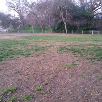 Saugstad Off Leash Dog Park - Dog Parks Near Me - Roseville, California Saugstad Off Leash Dog Park - Dog Parks Near Me - Roseville, California