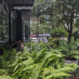 Exterior outside entrance of Wagamama - Tampa, Florida Exterior outside entrance of Wagamama - Tampa, Florida