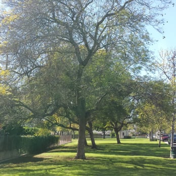 Jackson Park - Parks Near Me - Long Beach, California
