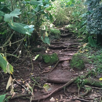Likeke Falls - Hiking Near Me - Honolulu, Hawaii Likeke Falls - Hiking Near Me - Honolulu, Hawaii