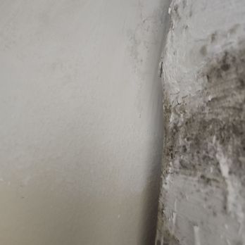 Invitation Homes - This is the airhandler covered in fresh new mold. - Property Management Near Me - Tampa, Florida Invitation Homes - This is the airhandler covered in fresh new mold. - Property Management Near Me - Tampa, Florida