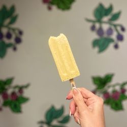 The Hyppo - Pistachio coconut