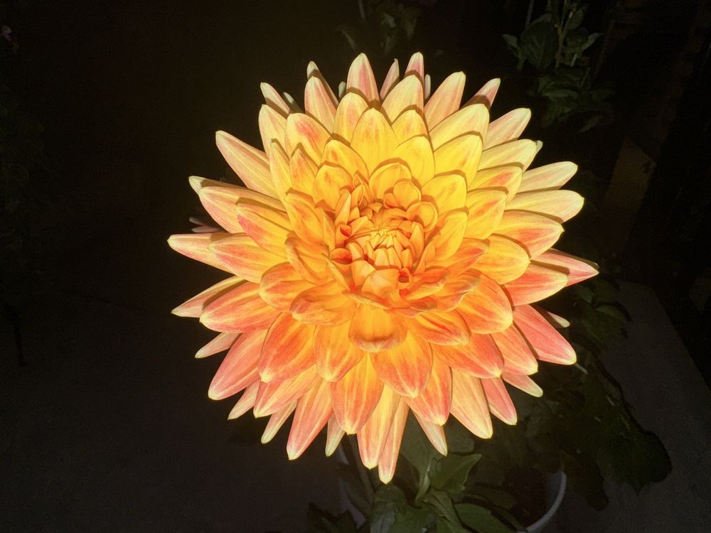 Positive Outlook and Associates Pllc - grief counselor in Vancouver, WA