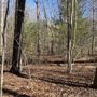 Photo of Garden Trail