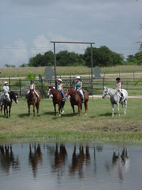 SunCrest Farm - equestrian in Manor, TX