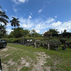 Richard Lyons Nursery
