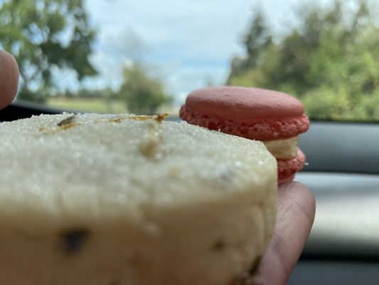 Carlton Bakery by null