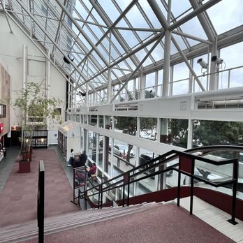 AMC Kabuki 8 - The atrium lobby - loads of light! 4/24/25 - Cinema Near Me - San Francisco, California AMC Kabuki 8 - The atrium lobby - loads of light! 4/24/25 - Cinema Near Me - San Francisco, California