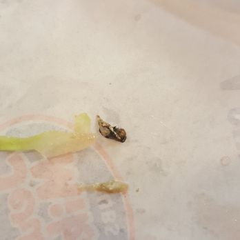 Jersey Mike's Subs - Zoom in the picture. This thing had hair and little legs - Fast Food Near Me - Midland, Texas