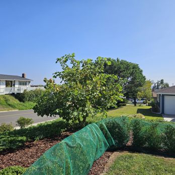Moon Valley Nurseries - Nurseries & Gardening Near Me - La Verne, California