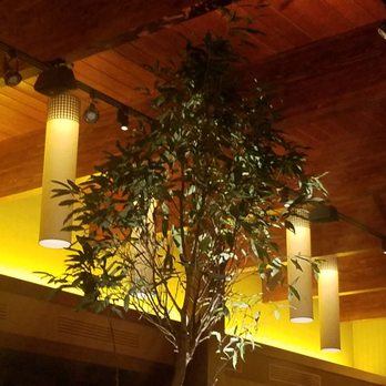 Seasons 52 - Nice tree ambiance in middle of restaurant - New American Near Me - Columbia, Maryland Seasons 52 - Nice tree ambiance in middle of restaurant - New American Near Me - Columbia, Maryland