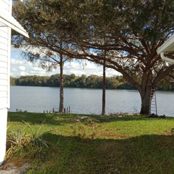 Brewer's Tree Service - Canopy lift on an oak and two cypress trees to be able to view the lake - Tree Services Near Me