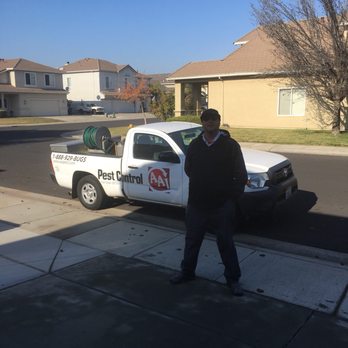 AAI Pest Control - Pest Control Near Me - Modesto, California AAI Pest Control - Pest Control Near Me - Modesto, California