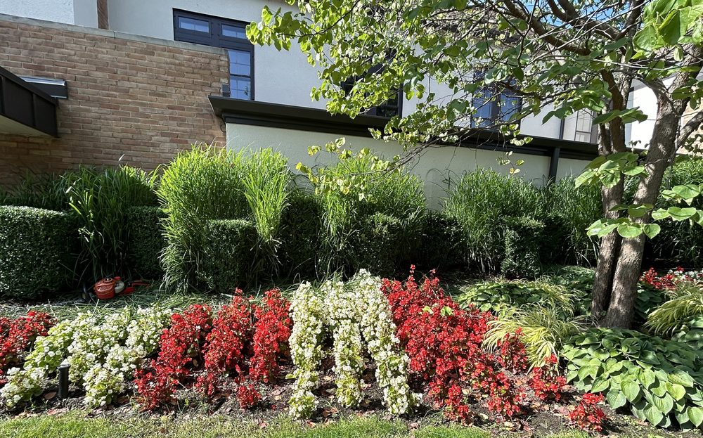 Oxy Sense Landscaping - tree service in Grand Rapids, MI