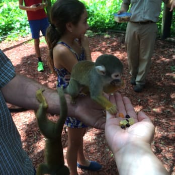 Monkey Jungle - Monkeying around ;) - Zoos Near Me - Miami, Florida Monkey Jungle - Monkeying around ;) - Zoos Near Me - Miami, Florida