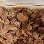 Photo of Lindsey’s Smokehouse Barbecue