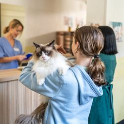Audubon Animal Medical Center