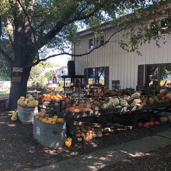 The Great Pumpkin Patch - Pumpkin Patches Near Me - Arthur, Illinois