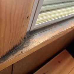 Tahoe NORTH Rentals - Mold