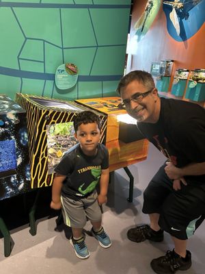 Audubon Insectarium by null