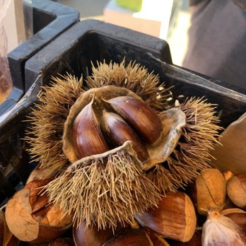 Olympia Farmers Market - Chestnut! - Farmers Market Near Me - Olympia, Washington Olympia Farmers Market - Chestnut! - Farmers Market Near Me - Olympia, Washington