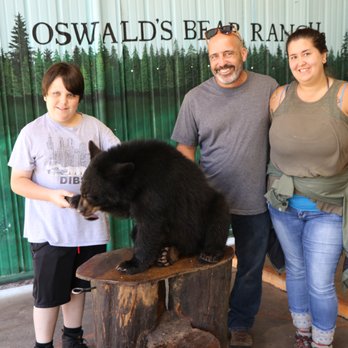 Oswald's Bear Ranch - $10 to snag a family pic with a cub...also to spon feed honey. - Zoos Near Me - Newberry, Michigan Oswald's Bear Ranch - $10 to snag a family pic with a cub...also to spon feed honey. - Zoos Near Me - Newberry, Michigan
