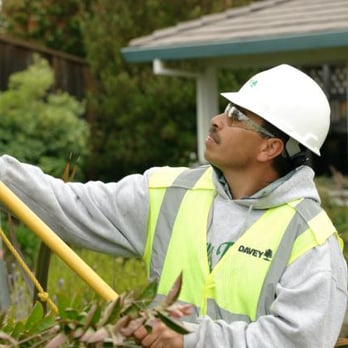 The Davey Tree Expert Company - Tree Services Near Me - Soquel, California The Davey Tree Expert Company - Tree Services Near Me - Soquel, California