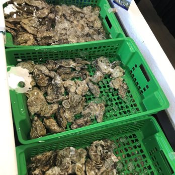 La Cabane du Paliquey - Fresh, live oysters! - Seafood Near Me - La Teste-de-Buch, 33